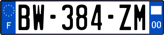 BW-384-ZM
