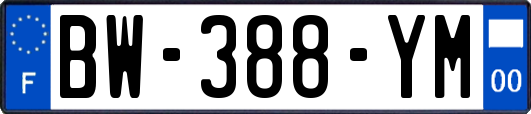 BW-388-YM