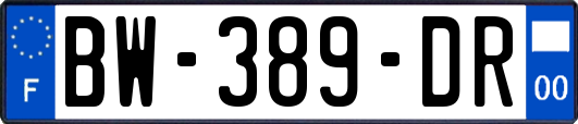 BW-389-DR