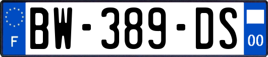 BW-389-DS