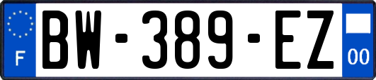 BW-389-EZ