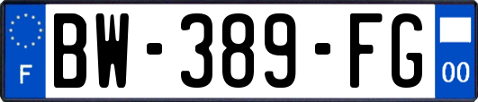 BW-389-FG