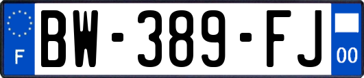 BW-389-FJ