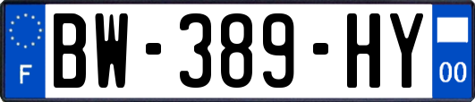 BW-389-HY