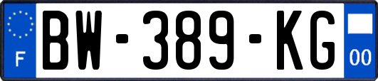 BW-389-KG