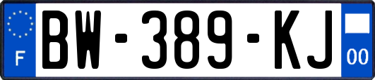 BW-389-KJ