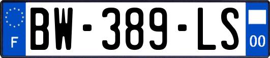 BW-389-LS
