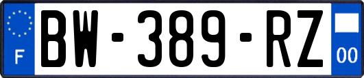 BW-389-RZ