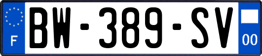 BW-389-SV