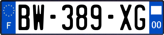 BW-389-XG