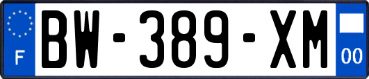 BW-389-XM