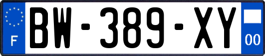 BW-389-XY