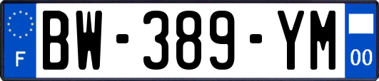 BW-389-YM