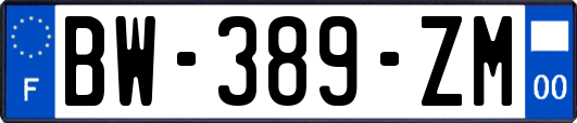 BW-389-ZM