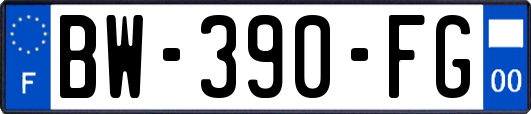 BW-390-FG