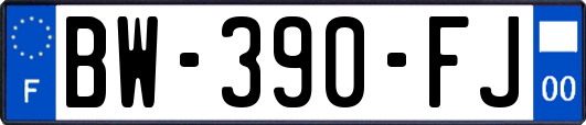 BW-390-FJ