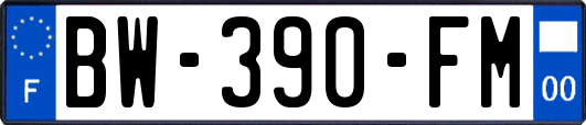 BW-390-FM