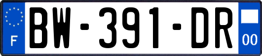 BW-391-DR