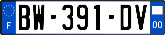 BW-391-DV