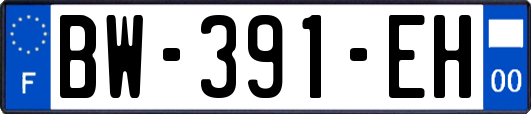 BW-391-EH