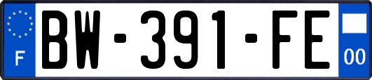 BW-391-FE