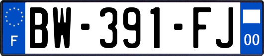 BW-391-FJ