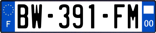 BW-391-FM