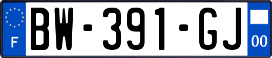 BW-391-GJ