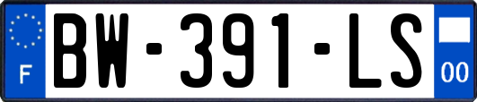 BW-391-LS