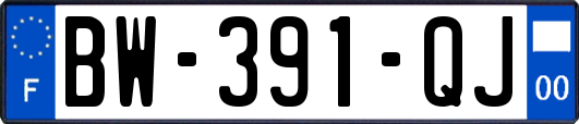 BW-391-QJ