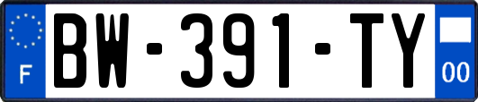 BW-391-TY