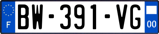 BW-391-VG