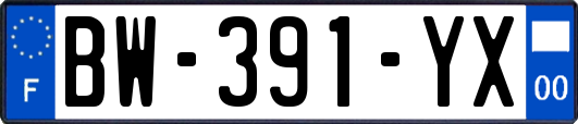 BW-391-YX