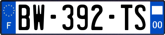 BW-392-TS
