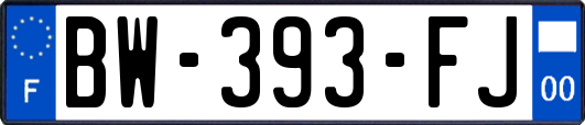 BW-393-FJ