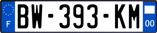 BW-393-KM