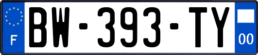BW-393-TY