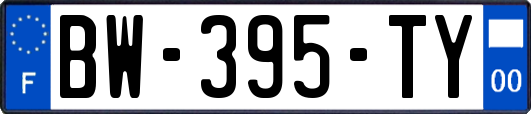 BW-395-TY