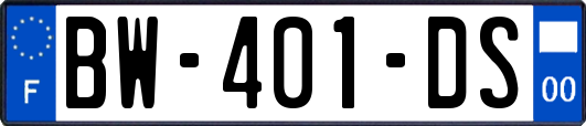 BW-401-DS