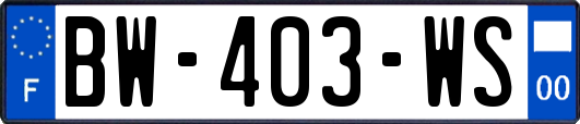 BW-403-WS
