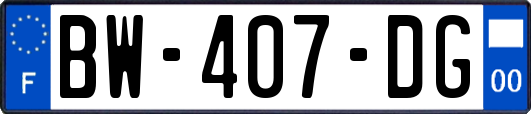 BW-407-DG