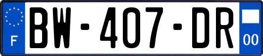 BW-407-DR