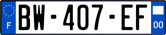 BW-407-EF