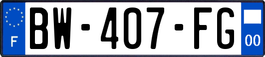 BW-407-FG