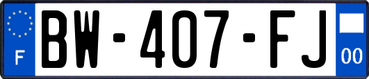 BW-407-FJ