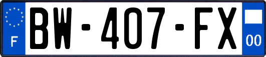 BW-407-FX