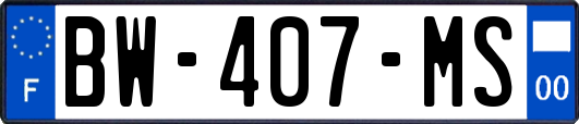 BW-407-MS