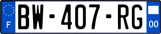 BW-407-RG
