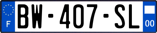 BW-407-SL