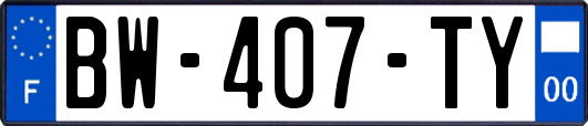 BW-407-TY